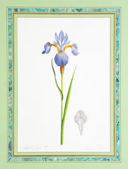 James L. Sain Original Watercolor of an Iris