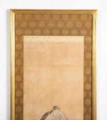 Falcon Tethered to a Perch