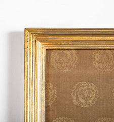 Falcon Tethered to a Perch