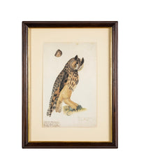 Offset Lithograph from "The Great Bird Book" by Olof Rudbeck The Younger