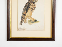 Offset Lithograph from "The Great Bird Book" by Olof Rudbeck The Younger