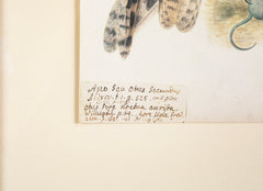 Offset Lithograph from "The Great Bird Book" by Olof Rudbeck The Younger