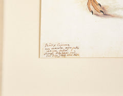 Offset Lithograph from "The Great Bird Book" by Olof Rudbeck The Younger
