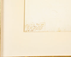 Offset Lithograph from "The Great Bird Book" by Olof Rudbeck The Younger