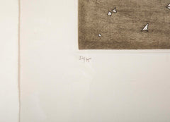 "Rupture, 1990" Etching on Woven Paper by Brazilian Arthur Luiz Piza