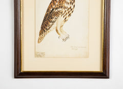 Offset Lithograph from "The Great Bird Book" by Olof Rudbeck The Younger