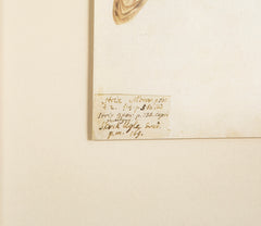 Offset Lithograph from "The Great Bird Book" by Olof Rudbeck The Younger