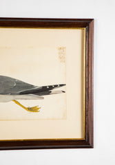 Offset Lithograph from "The Great Bird Book" by Olof Rudbeck The Younger