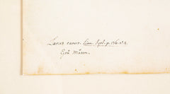 Offset Lithograph from "The Great Bird Book" by Olof Rudbeck The Younger
