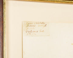 Offset Lithograph from "The Great Bird Book" by Olaf Rudbeck The Younger