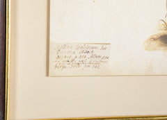 Offset Lithograph from "The Great Bird Book" by Olof Rudbeck The Younger