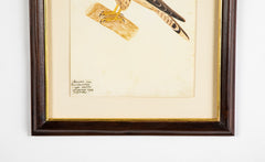 Offset Lithograph from "The Great Bird Book" by Olof Rudbeck The Younger