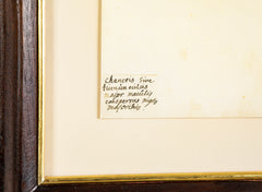 Offset Lithograph from "The Great Bird Book" by Olof Rudbeck The Younger