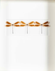 "Butterfly Trio" in Shadow Box by Christopher Marly