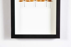 "Butterfly Trio" in Shadow Box by Christopher Marly