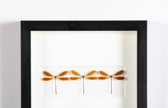 "Butterfly Trio" in Shadow Box by Christopher Marly