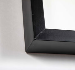 "Butterfly Trio" in Shadow Box by Christopher Marly