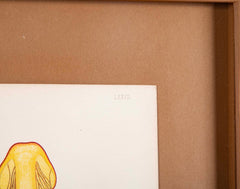 10 Chromolithograph Plates of Fungi by Swedish Botanist Elias Magnus Fries - Priced Individually at $950 EACH