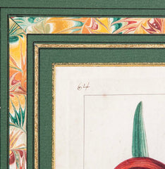Botanical Print of a Flower by French Naturalist Painter Pancrace Bessa ( 1772 - 1846 )