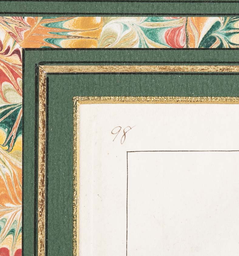 Botanical Print of a Flower by French Naturalist Painter Pancrace Bessa ( 1772 - 1846 )