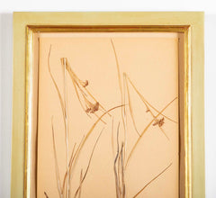 "A Collection of Dried British Grass Specimens" by W. Curtis & W. Salisbury