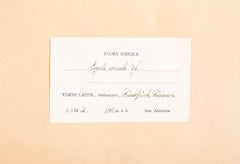 "A Collection of Dried British Grass Specimens" by W. Curtis & W. Salisbury