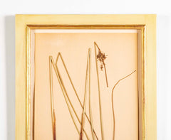 "A Collection of Dried British Grass Specimens" by W. Curtis & W. Salisbury