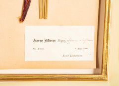 "A Collection of Dried British Grass Specimens" by W. Curtis & W. Salisbury