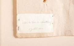 "A Collection of Dried British Grass Specimens" by W. Curtis & W. Salisbury