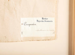 "A Collection of Dried British Grass Specimens" by W. Curtis & W. Salisbury