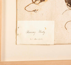 "A Collection of Dried British Grass Specimens" by W. Curtis & W. Salisbury