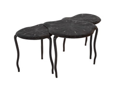R & Y Agousti Three Part Shagreen Coffee Table