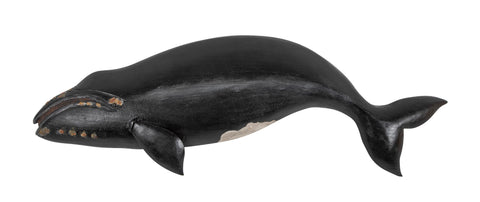 Right Whale by Roger Mitchel