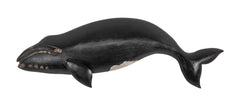Right Whale by Roger Mitchel