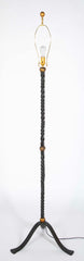 Forged Iron Floor Lamp