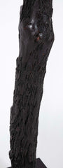 A Mali Dogon Tribe Granary Ladder with Base