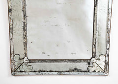 Mirror Bordered Glass Mirror with Fleur de Lis Decor