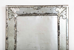 Mirror Bordered Glass Mirror with Fleur de Lis Decor