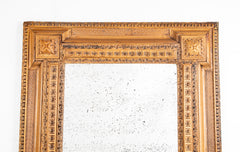 19th Century Baroque Carved Pine Mirror in the Dutch Tradition