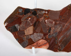Polished Halved Agate Geode