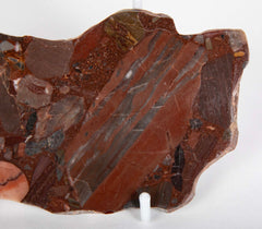 Polished Halved Agate Geode