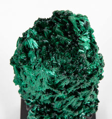 A Piece of Congolese Velvet Malachite on Modern Stand