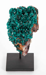 Dioptase Crystal Cluster from Kaokoveld, Namibia on Sustom Stand