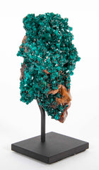 Dioptase Crystal Cluster from Kaokoveld, Namibia on Sustom Stand