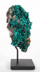 Dioptase Crystal Cluster from Kaokoveld, Namibia on Sustom Stand