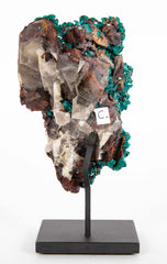 Dioptase Crystal Cluster from Kaokoveld, Namibia on Sustom Stand