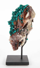 Dioptase Crystal Cluster from Kaokoveld, Namibia on Sustom Stand