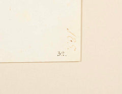 Offset Lithograph of "Goshawk, Juvenile Female Northern Type" from the "The  Great Bird Book" by Olof Rudbeck The Younger