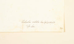 Offset Lithograph of "Great Crested Grebe" from the "The Great Bird Book" by Olof Rudbeck The Younger