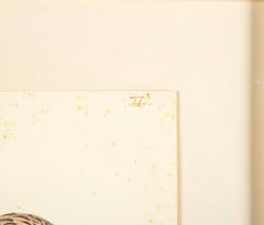 Offset Lithograph of "Rough-Legged Buzzard" from the "The  Great Bird Book" by Olof Rudbeck The Younger